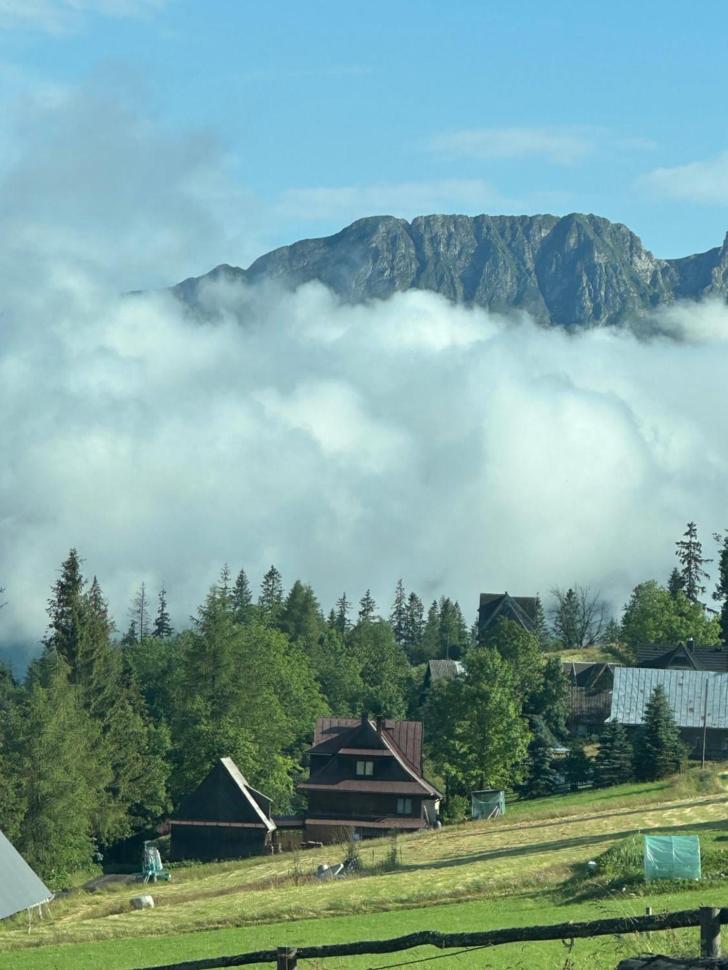 Hotel Mala Bawaria à Zakopane Extérieur photo