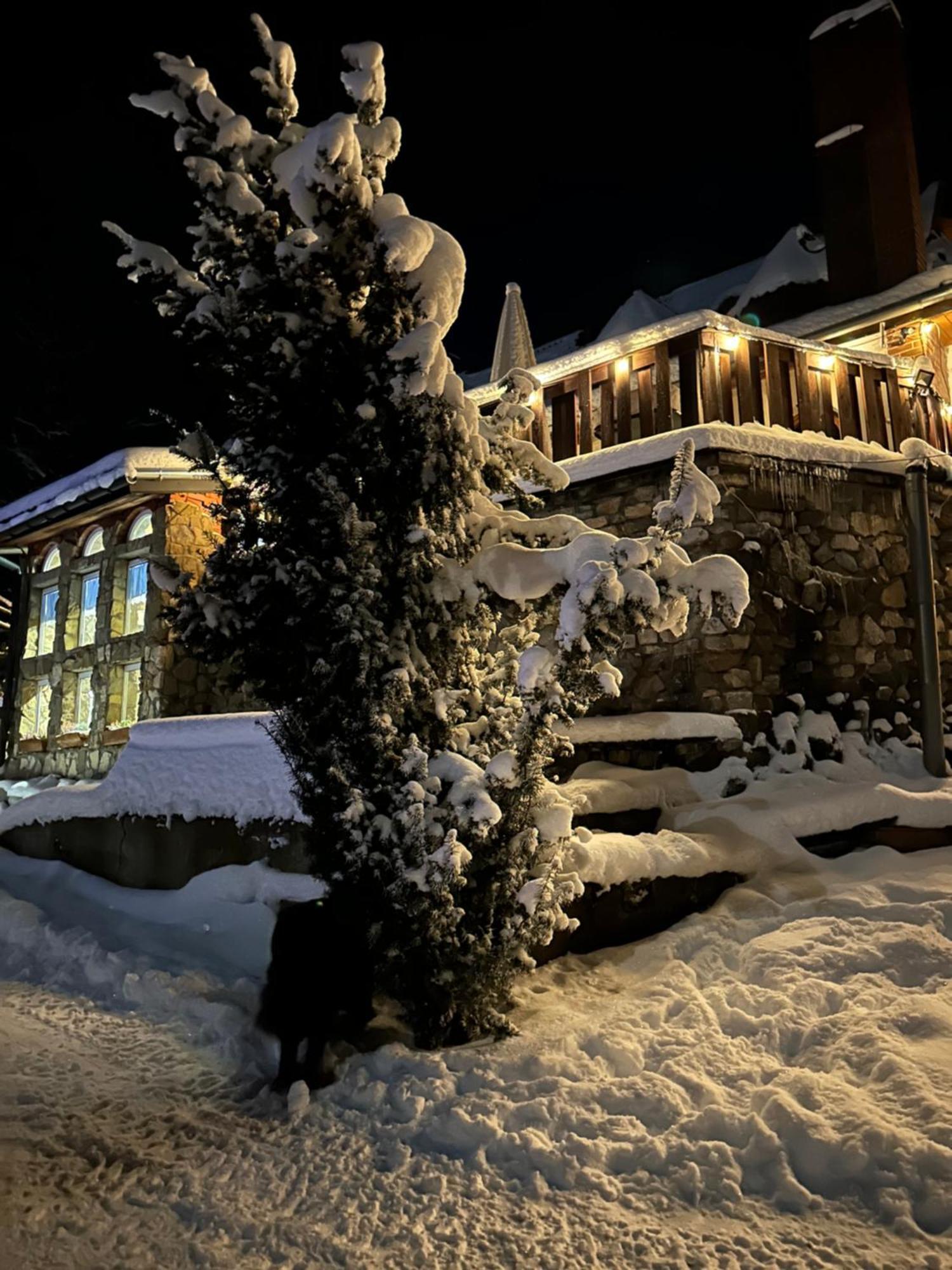 Hotel Mala Bawaria à Zakopane Extérieur photo