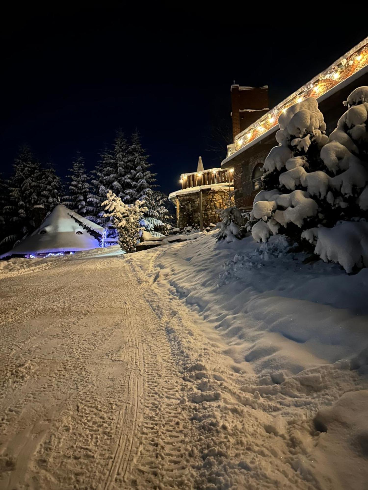 Hotel Mala Bawaria à Zakopane Extérieur photo