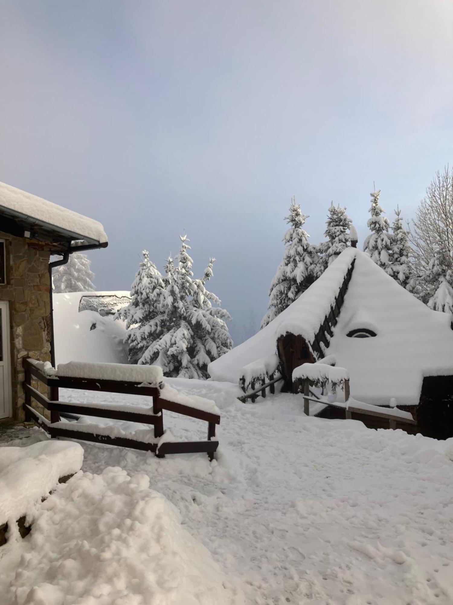 Hotel Mala Bawaria à Zakopane Extérieur photo