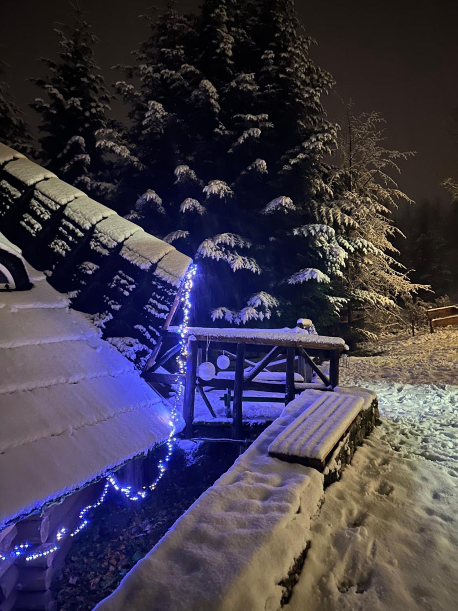 Hotel Mala Bawaria à Zakopane Extérieur photo