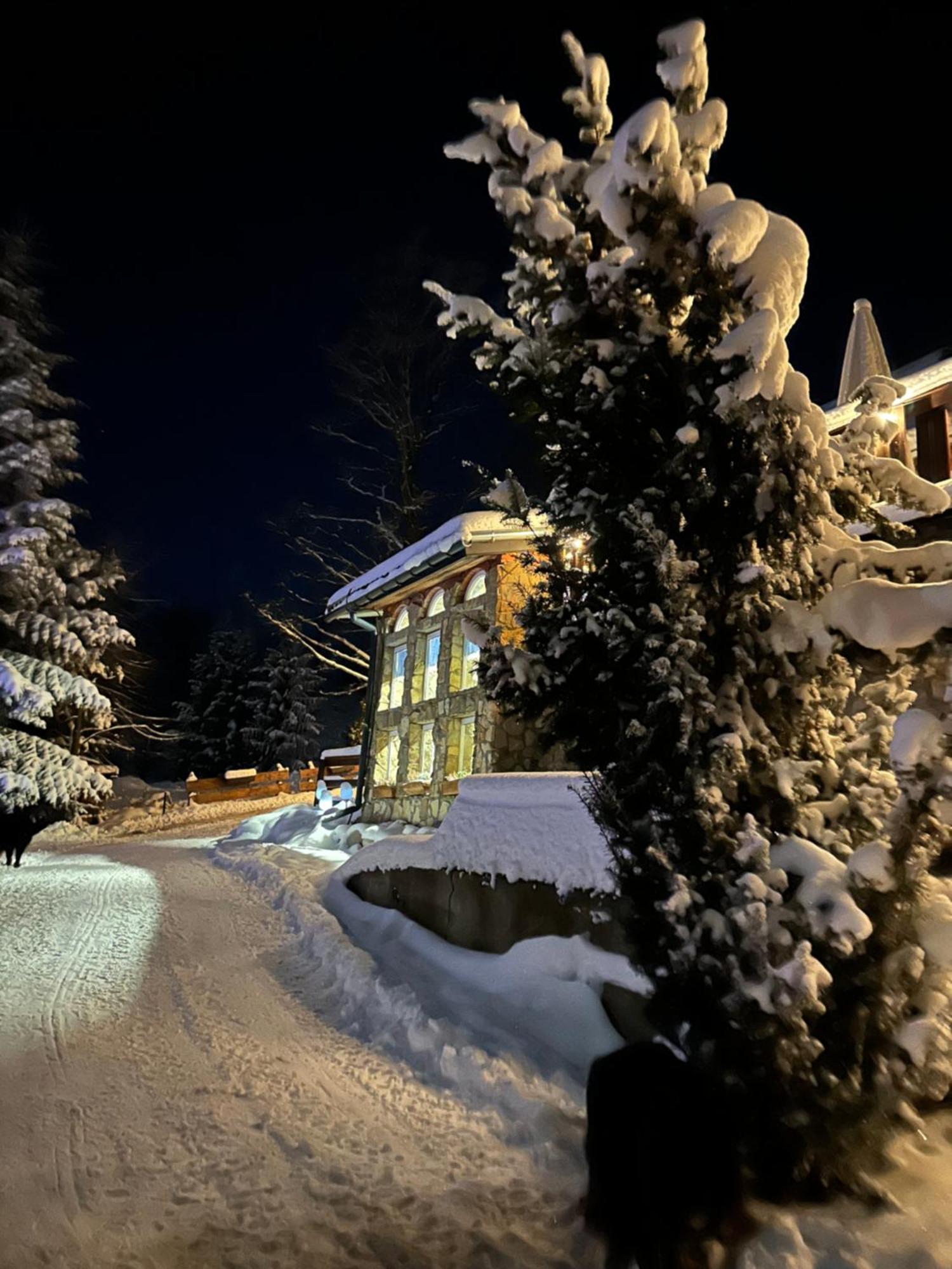 Hotel Mala Bawaria à Zakopane Extérieur photo